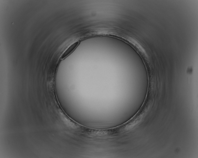 X0000092240801200710051237