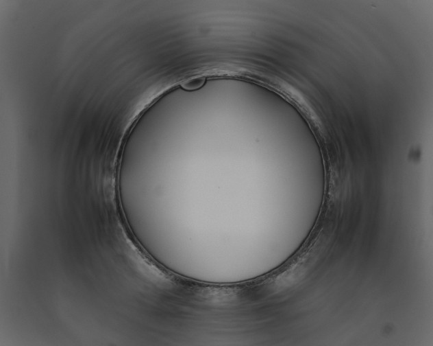 X0000092240802200710051237