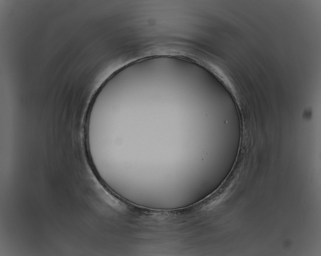 X0000092240803200710051237