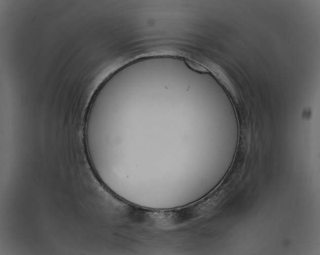 X0000092240805200710051237