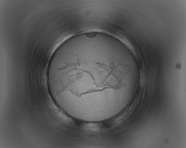 X0000092240806200710051237