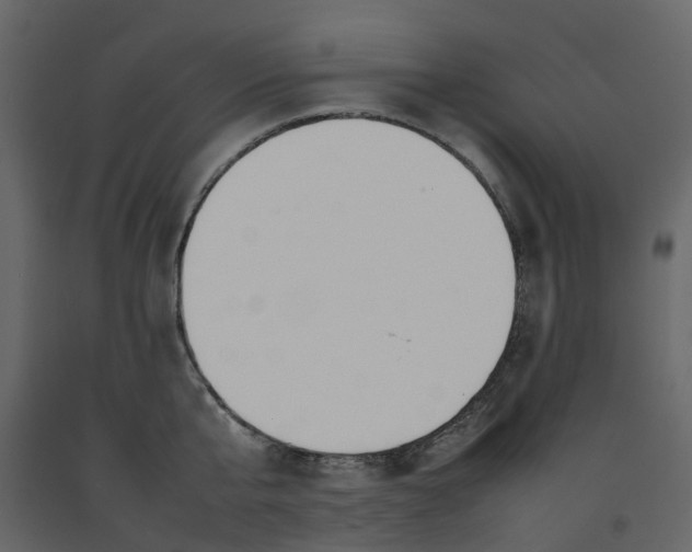 X0000092240807200710051237