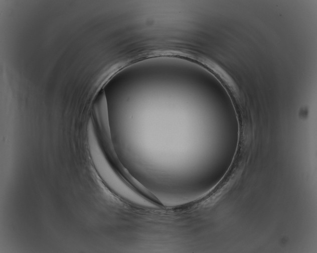 X0000092240809200710051237