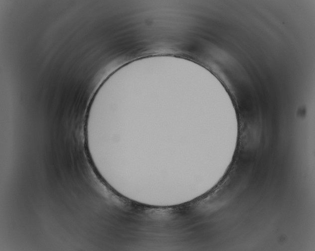 X0000092240810200710051237