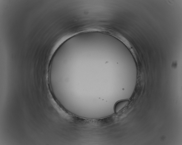 X0000092240811200710051237