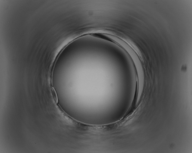 X0000092240813200710051237