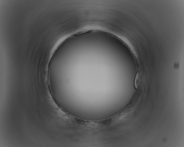 X0000092240815200710051237