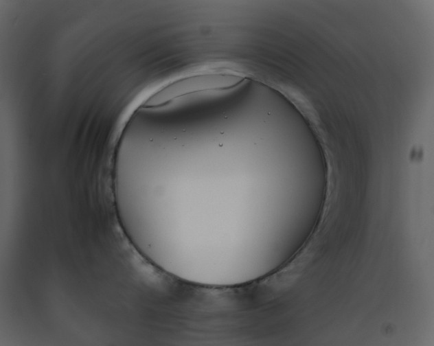 X0000092240816200710051237