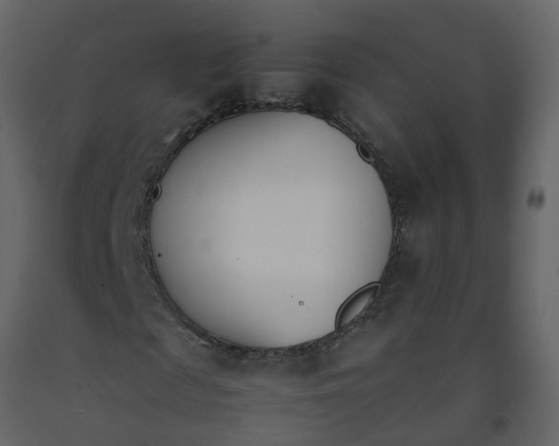 X0000092240817200710051236