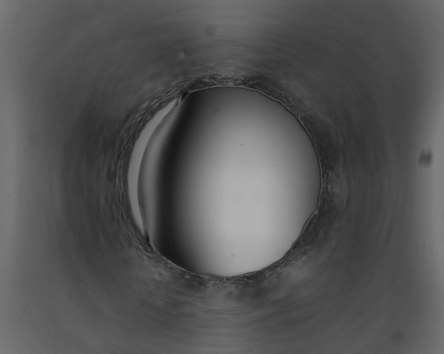 X0000092240818200710051237