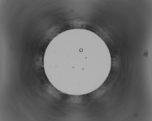 X0000092240820200710051237