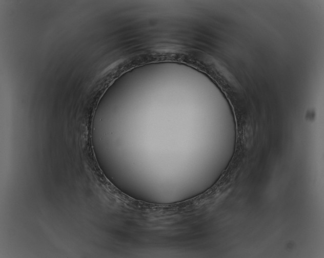 X0000092240821200710051237