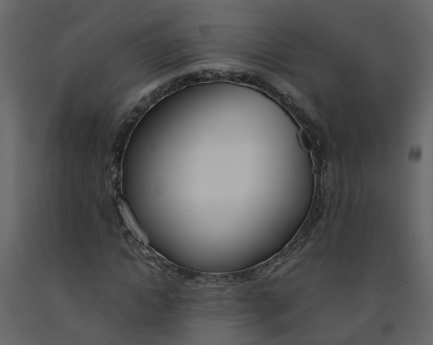 X0000092240822200710051237