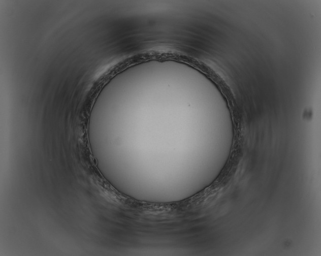 X0000092240823200710051237