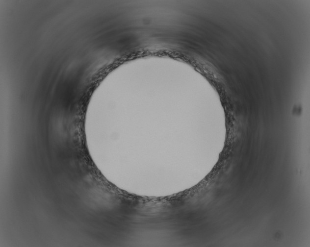 X0000092240824200710051237