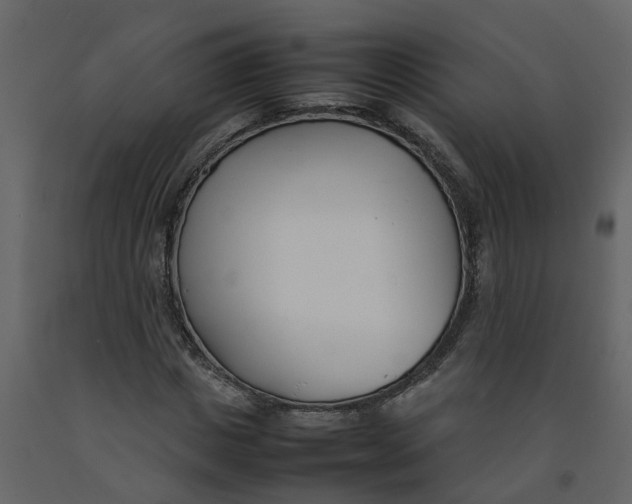 X0000092240825200710051237