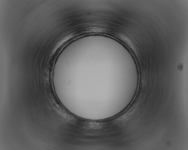 X0000092240827200710051237