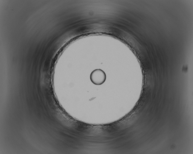 X0000092240828200710051237