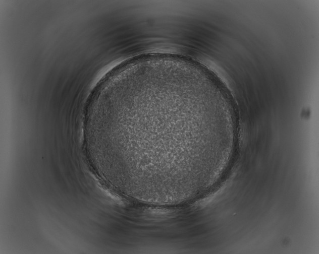 X0000092240829200710051237