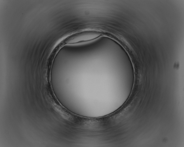 X0000092240830200710051237