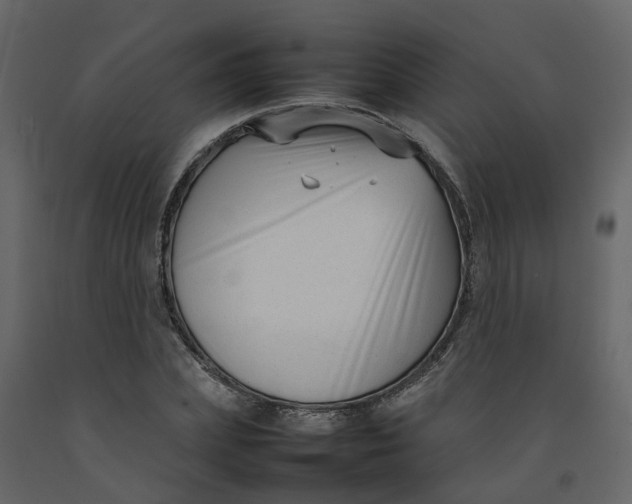 X0000092240831200710051237