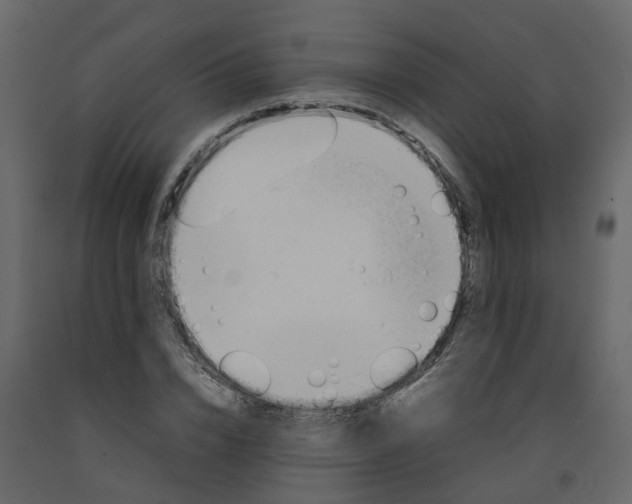 X0000092240832200710051237