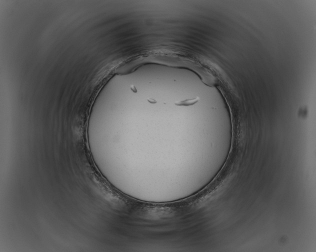 X0000092240833200710051237