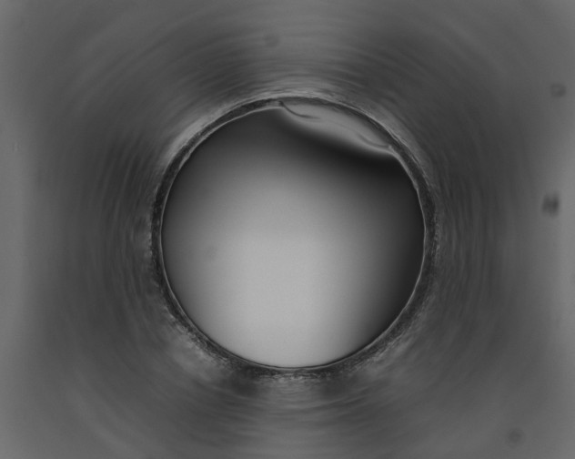 X0000092240834200710051237