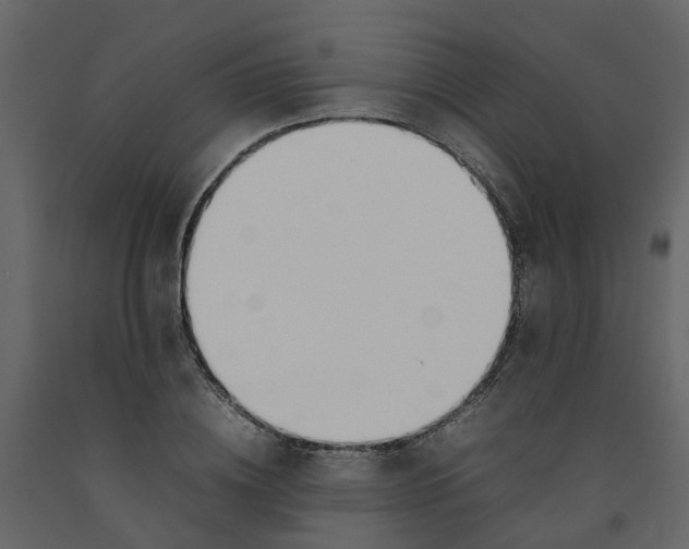 X0000092240836200710051237