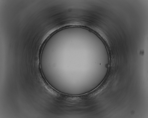 X0000092240837200710051237