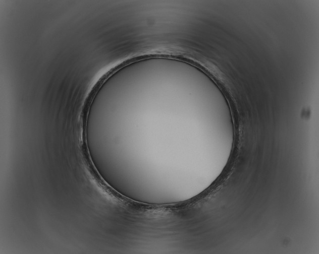 X0000092240838200710051237