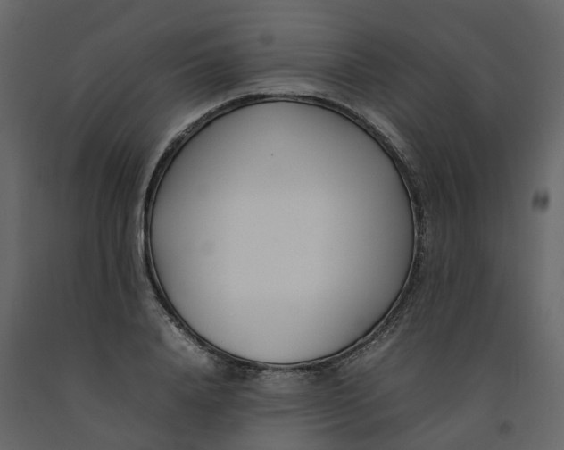 X0000092240840200710051237