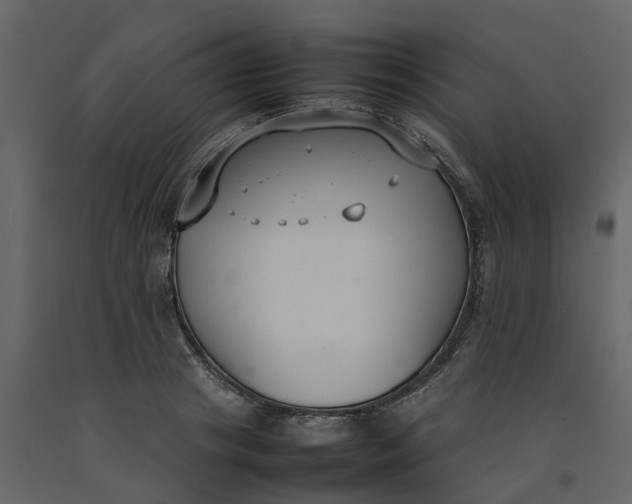 X0000092240841200710051237