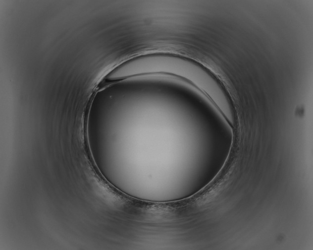 X0000092240842200710051237