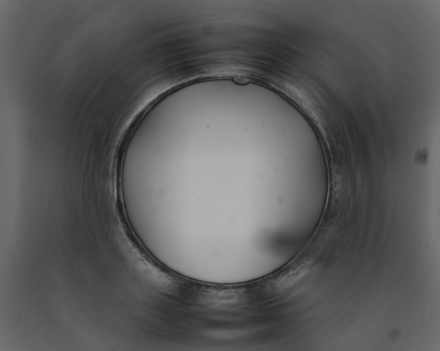 X0000092240843200710051237