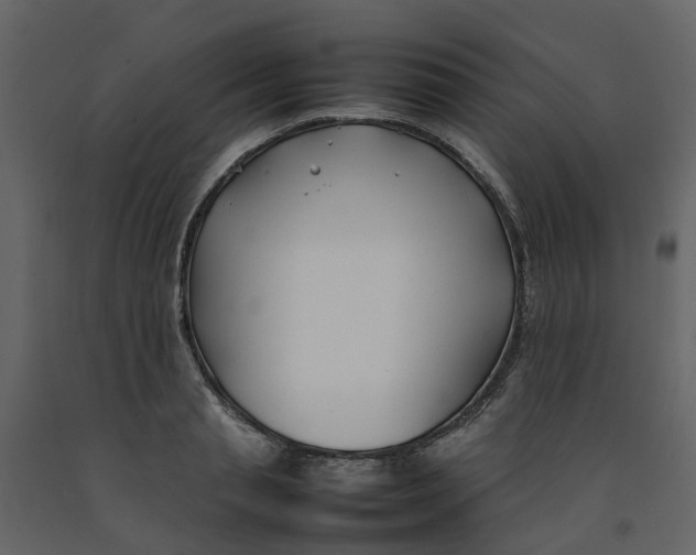 X0000092240845200710051237