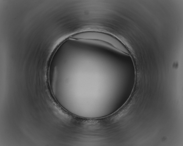 X0000092240846200710051237