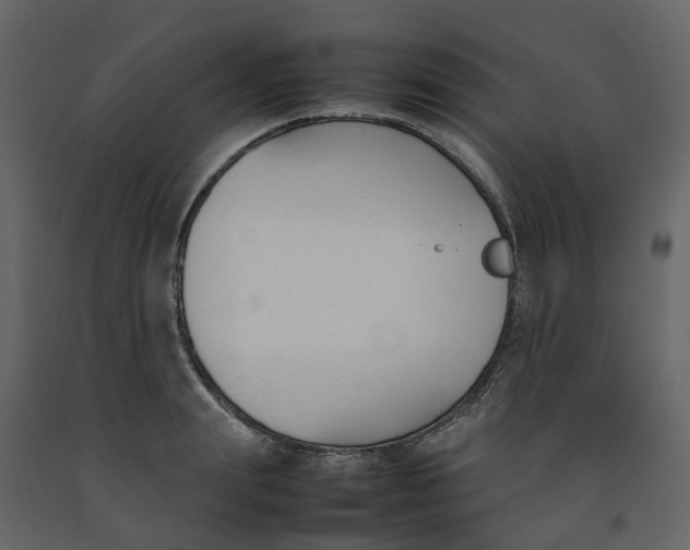 X0000092240847200710051237