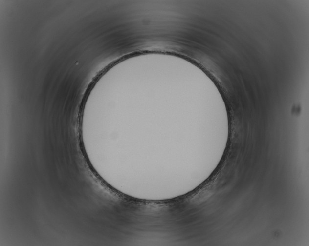 X0000092240848200710051237