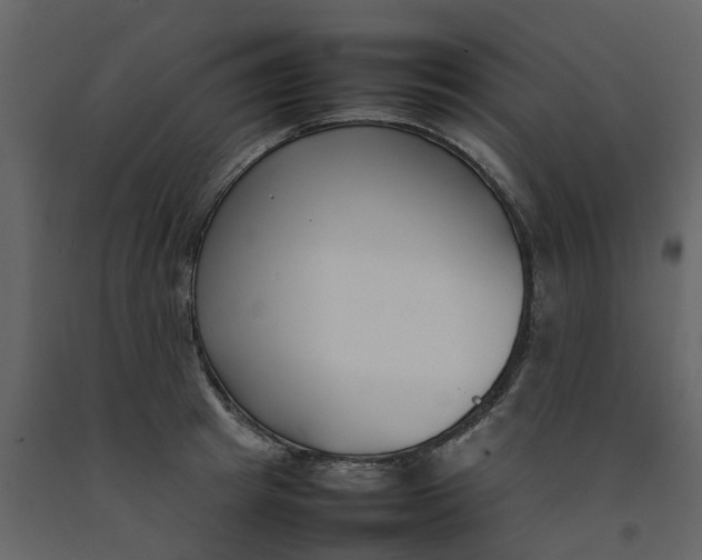 X0000092240849200710051237