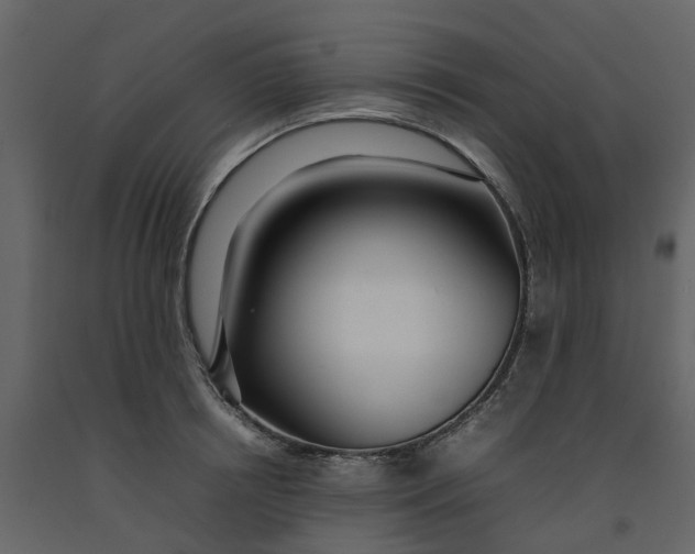 X0000092240850200710051237