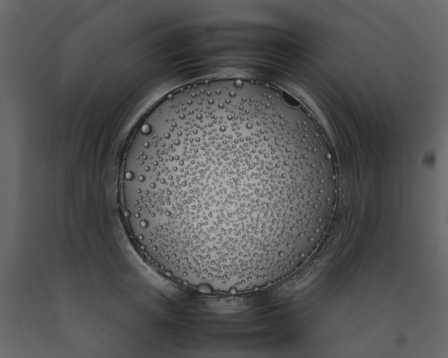 X0000092240851200710051237