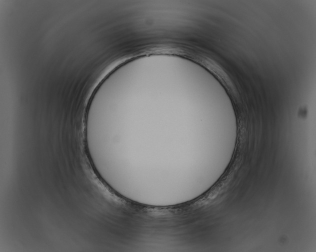 X0000092240852200710051237