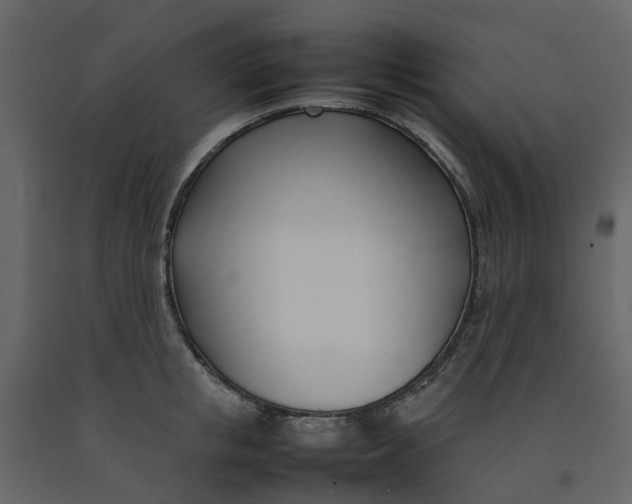 X0000092240853200710051237