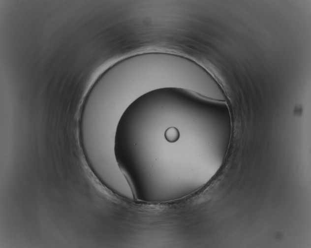 X0000092240854200710051237