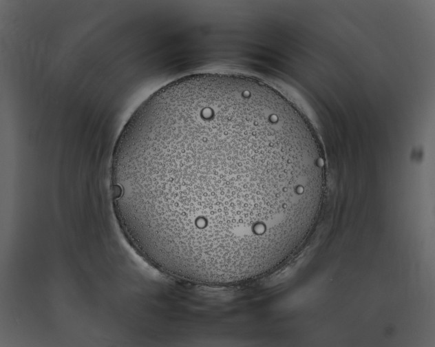 X0000092240855200710051237