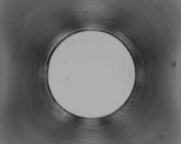 X0000092240856200710051237