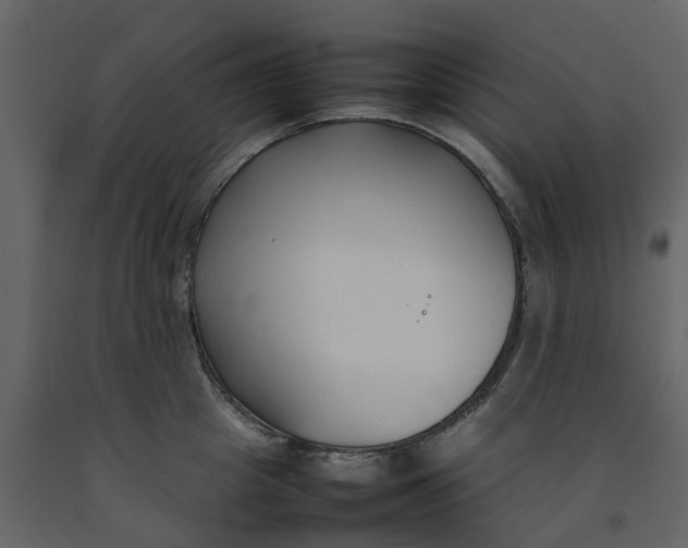 X0000092240857200710051237