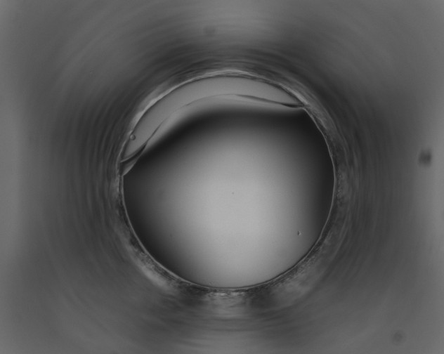 X0000092240858200710051237