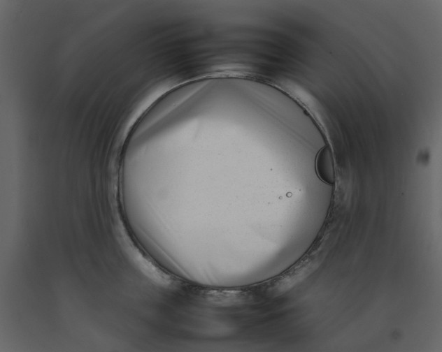 X0000092240859200710051237